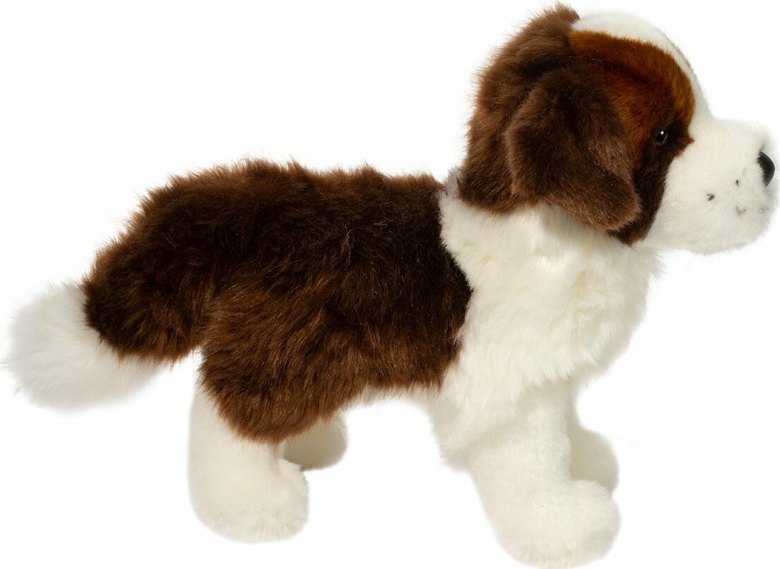 Brutus St. Bernard