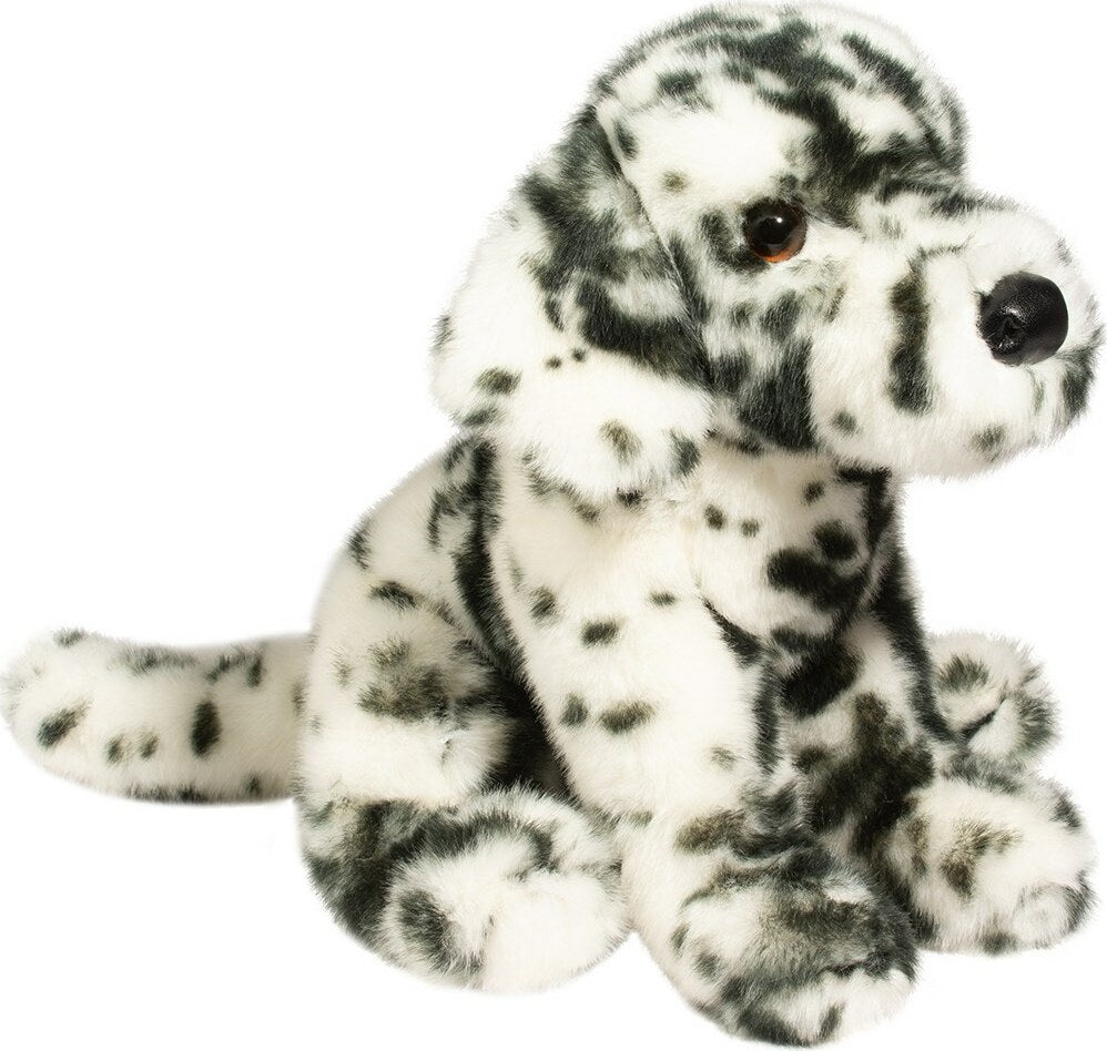 Mackay Dalmatian