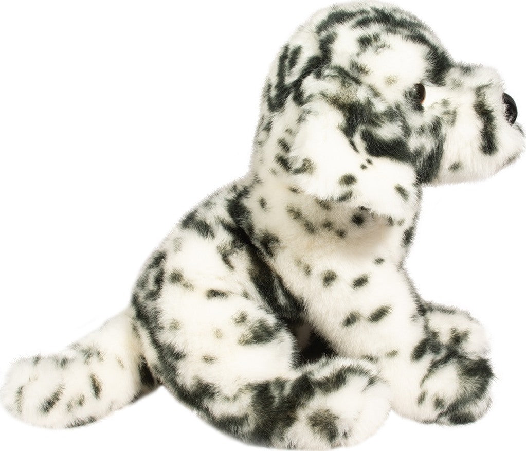Mackay Dalmatian