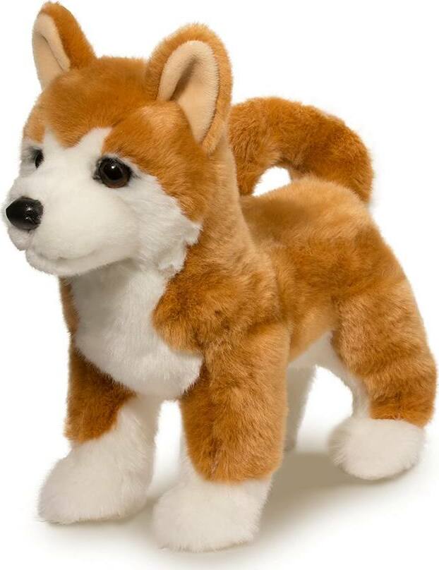 Dunham Shiba Inu
