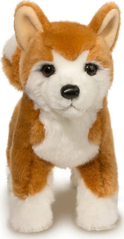 Dunham Shiba Inu