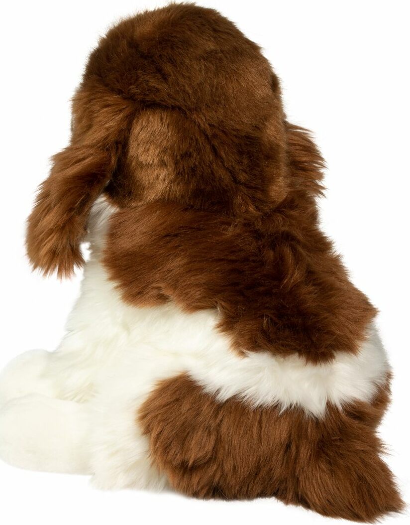 Chip Springer Spaniel