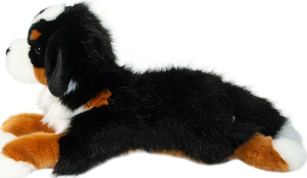 Trooper DLux Bernese Mountain Dog