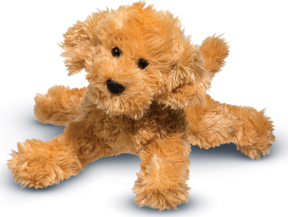 Molasses Labradoodle