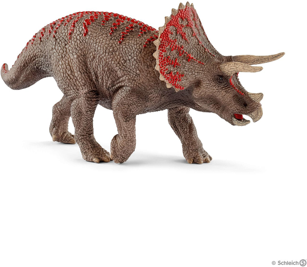 Triceratops – G. Willikers
