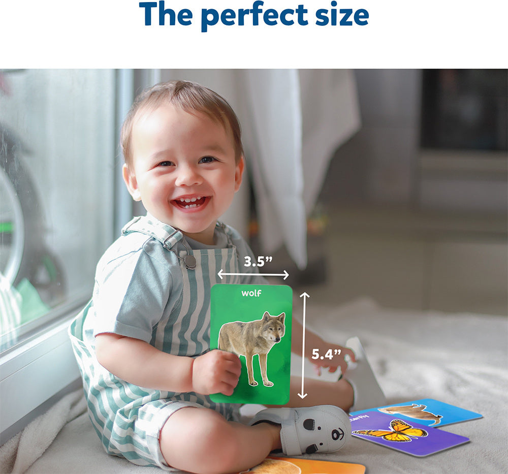 Flash Cards - First 100 Animals