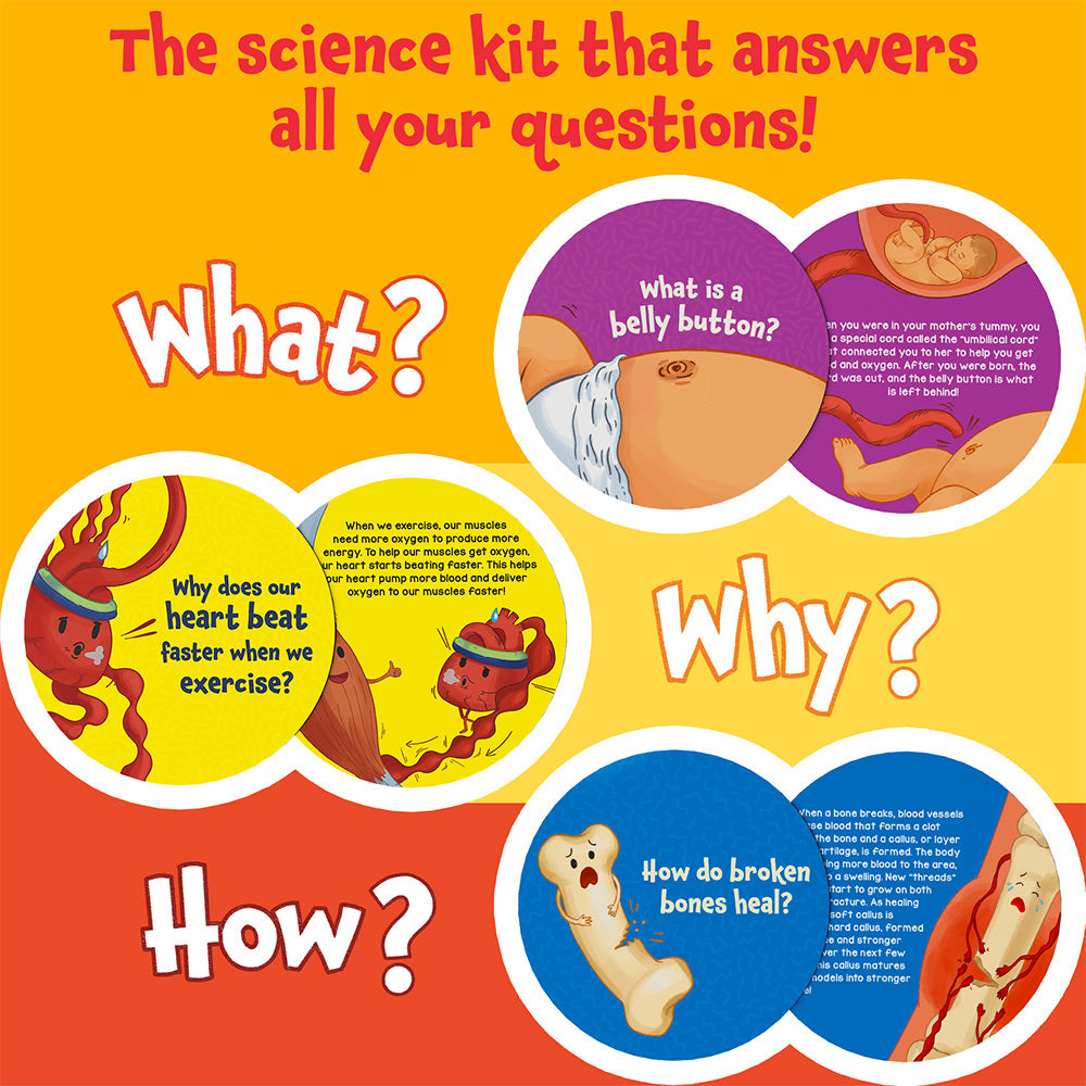 Science Snippets - Human Body