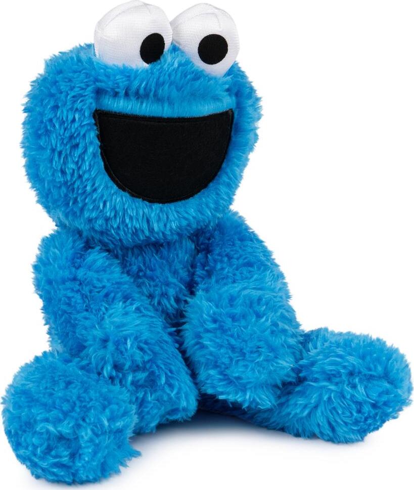 Cookie Monster Take Along Buddy, 13-Inch