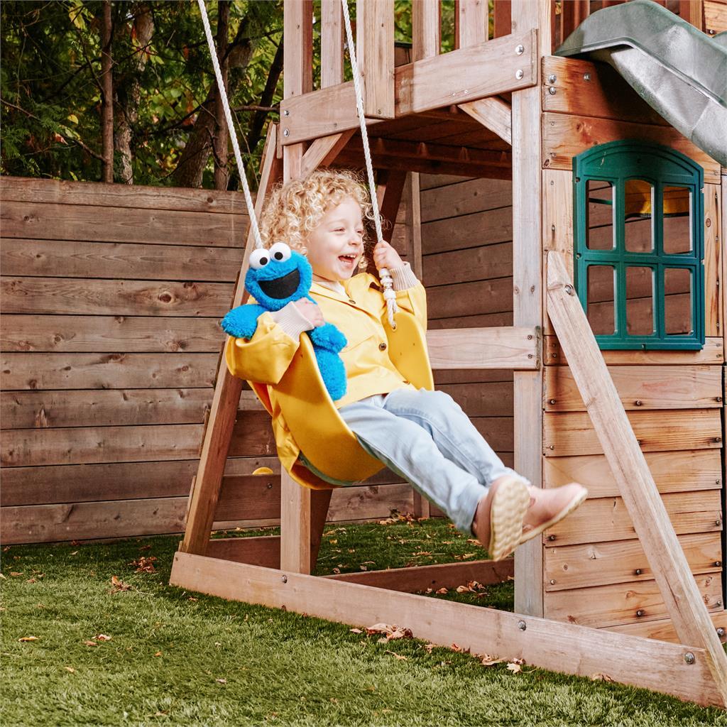 Cookie Monster Take Along Buddy, 13-Inch