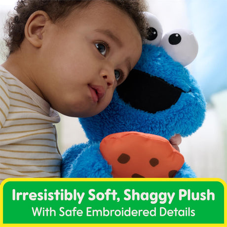 Sesame St Peek-A-Boo Cookie Monster, 11-Inch