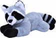Raccoon Ecokins