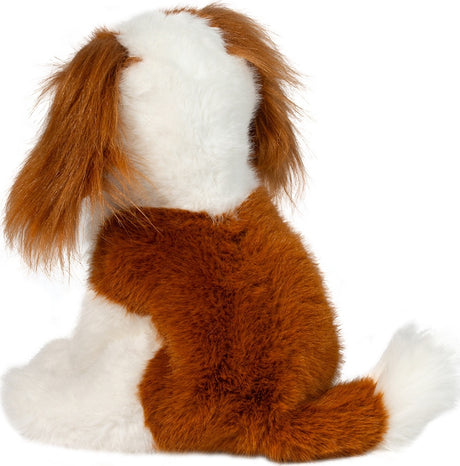 Kingsley Cavalier King Charles Spaniel