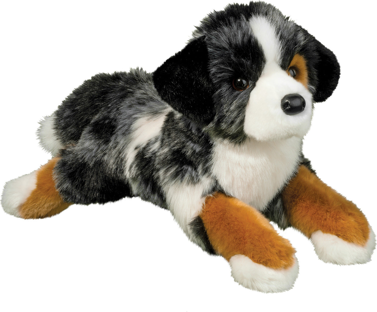 Maizie Dlux Australian Shepherd – G. Willikers