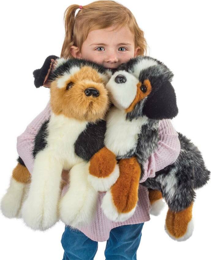 Maizie Dlux Australian Shepherd – G. Willikers