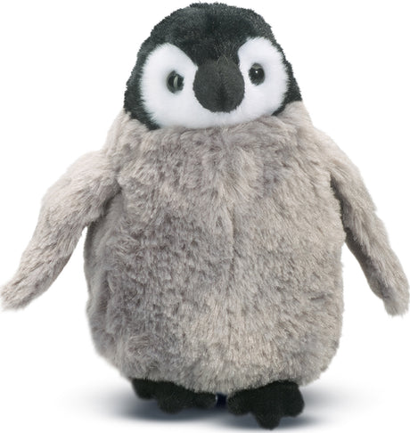 Cuddles Penguin Chick