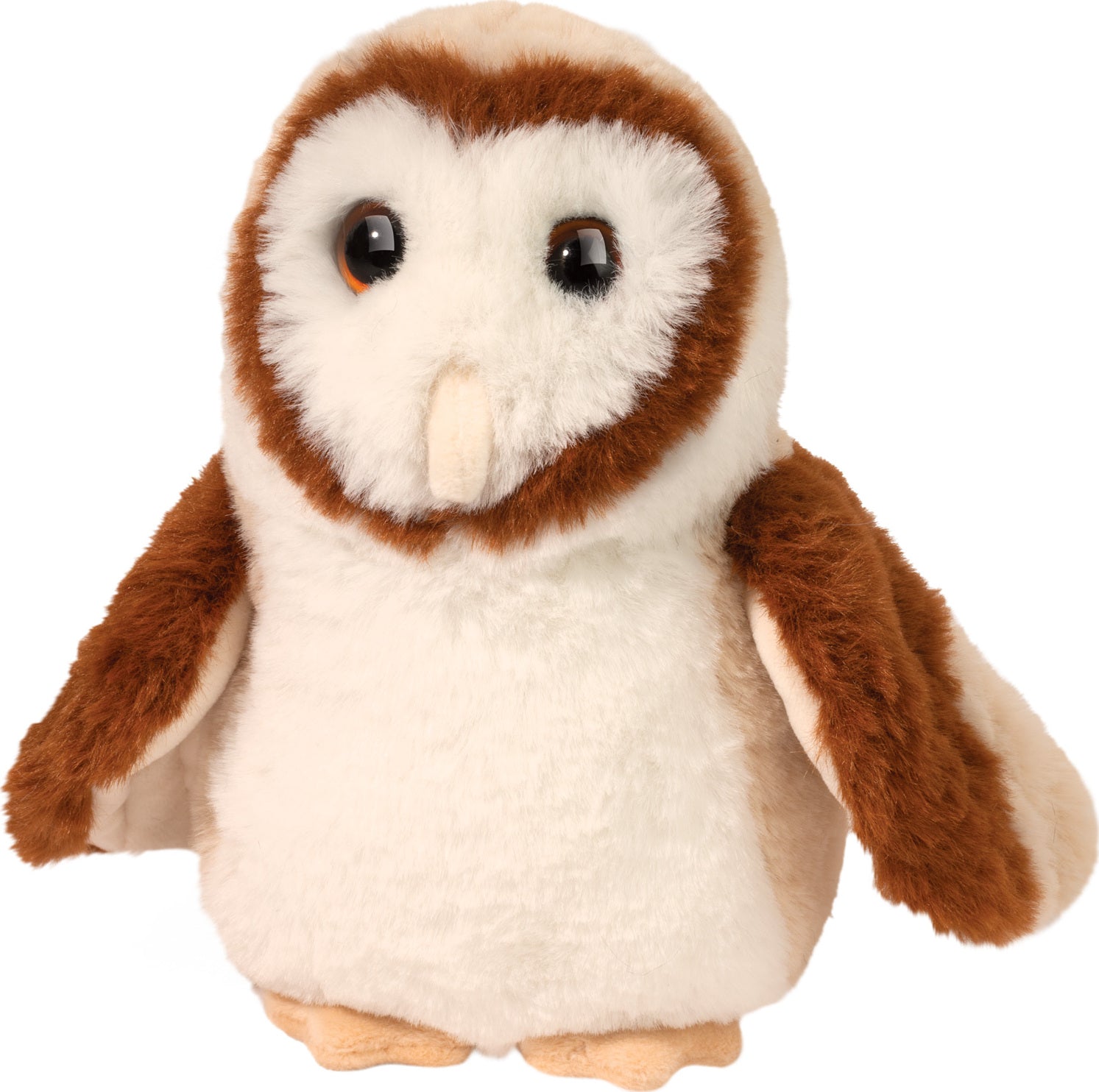 Rafter Barn Owl – G. Willikers