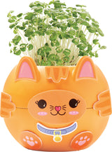 Plant A Pet Kitty