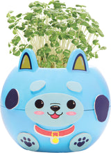 Plant A Pet Puppy