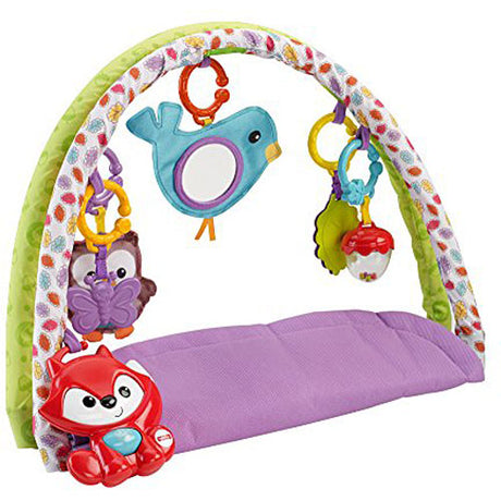 Fisher-Price 3-in-1 Musical Activity Gym