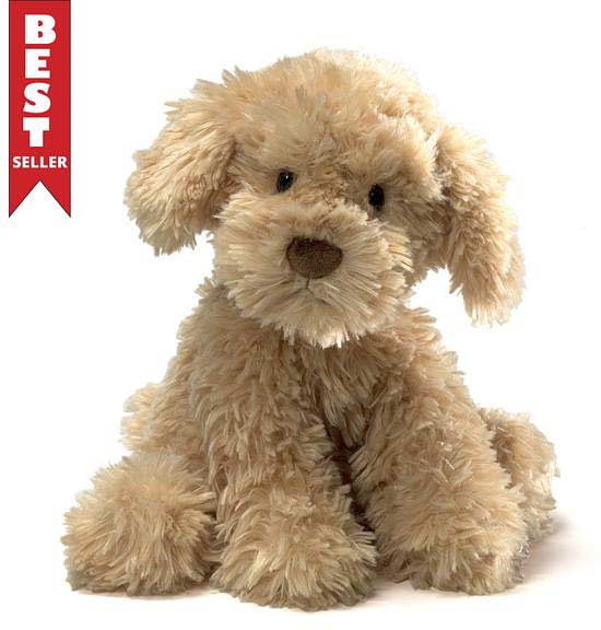 Nayla Cockapoo, 10.50"