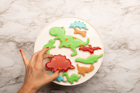 Dinosaur Cookie Cutter 10 Piece Boxed Set