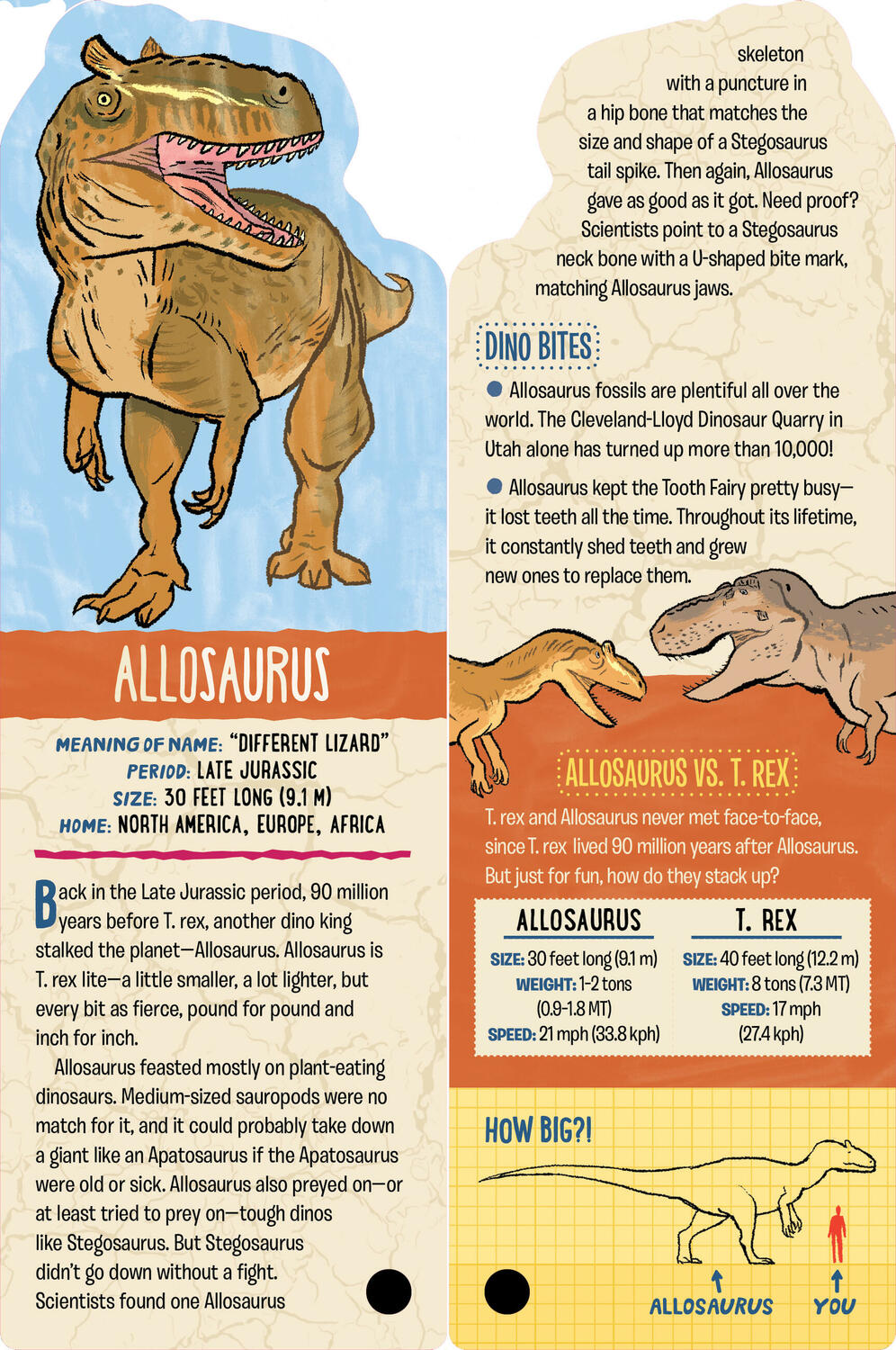 Fandex Kids: Dinosaurs: Facts That Fit in Your Hand: 48 Amazing Dinosaurs Inside!