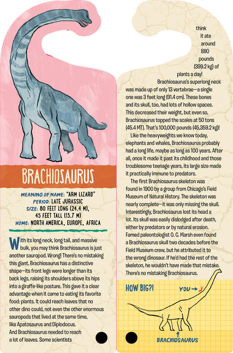 Fandex Kids: Dinosaurs: Facts That Fit in Your Hand: 48 Amazing Dinosaurs Inside!