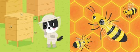 Brain Quest Phonics Readers: Set 1: 12 Decodable Readers: Short and Long Vowels