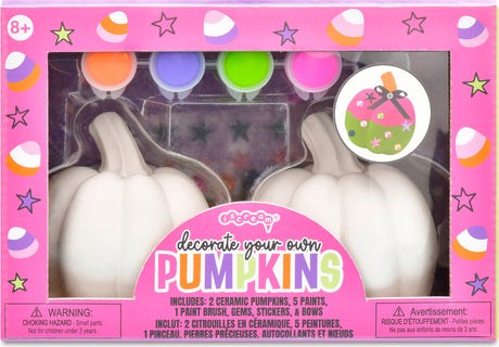 Decorate Your Own Pumpkin Kit