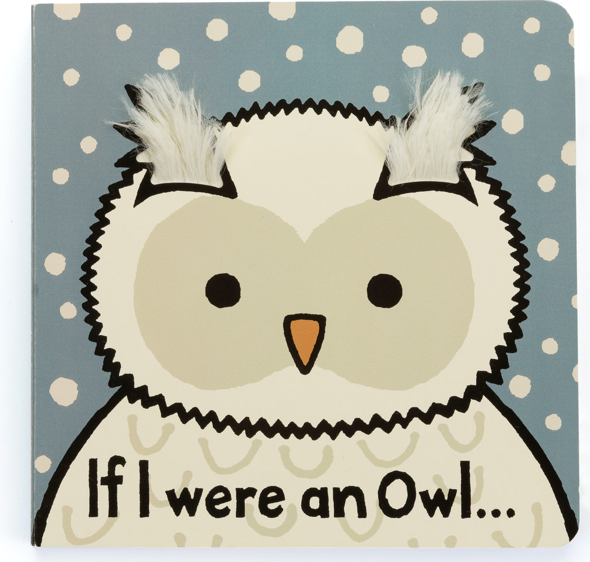 If I Were an Owl Book