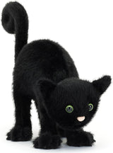 Spookipaws Cat