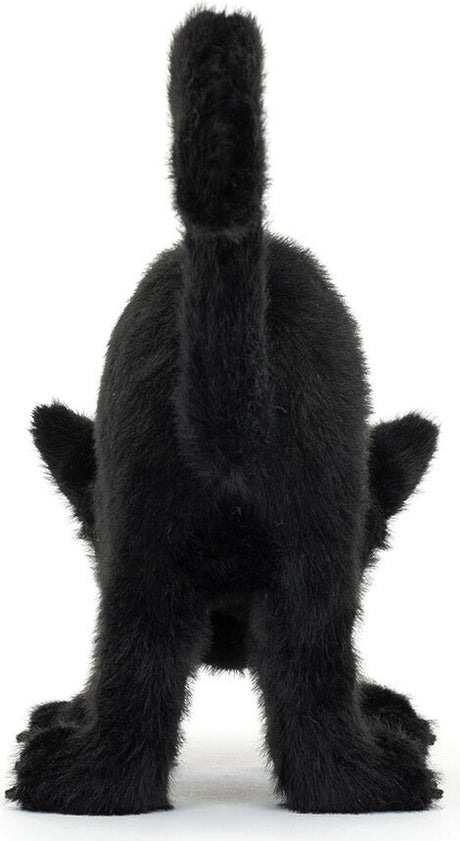 Spookipaws Cat