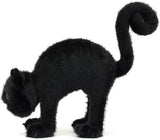 Spookipaws Cat