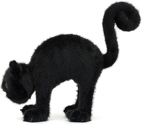 Spookipaws Cat