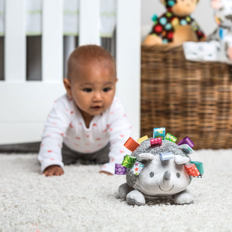 Taggies Heather Hedgehog Soft Toy - 8"