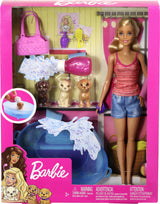 Barbie Doll & Accessories - GDJ37