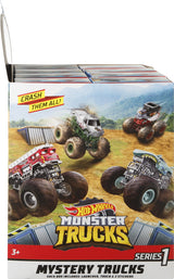 Hot Wheels Monster Trucks toy vehicle