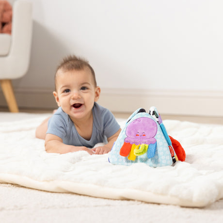 Ocean Tummy Time Triangle