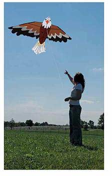 Bald Eagle Kite