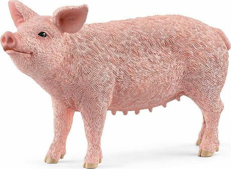 Pig