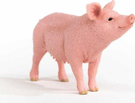 Pig