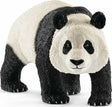 Giant Panda, Male