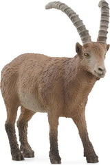 WILD LIFE Ibex