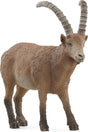 WILD LIFE Ibex