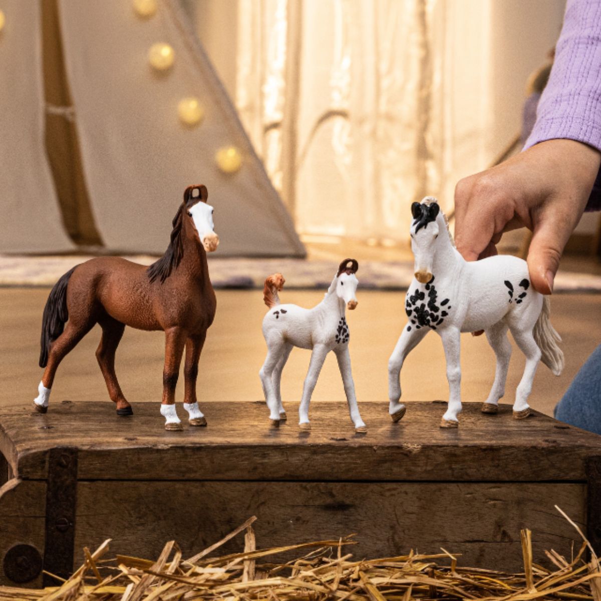 Marwari Mare
