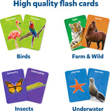 Flash Cards - First 100 Animals