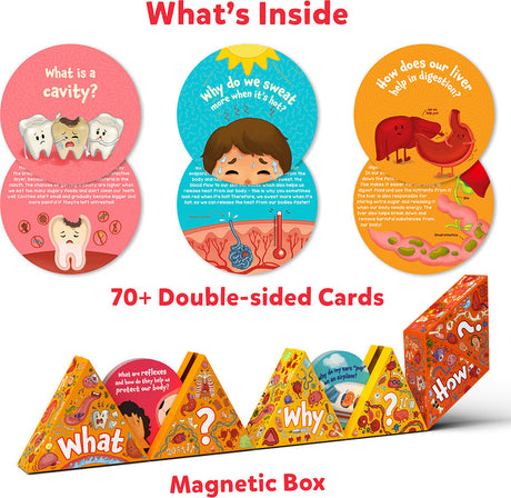 Science Snippets - Human Body