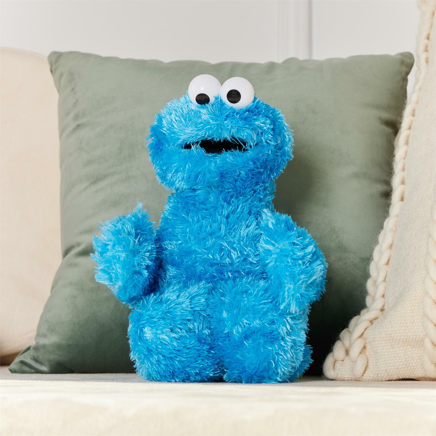 Cookie Monster - 12 in – G. Willikers