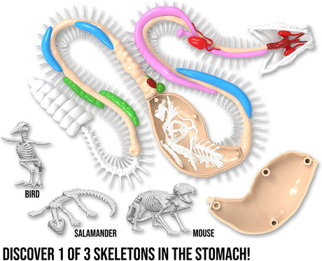 Dissect-It+ Rattlesnake Super Lab Kit