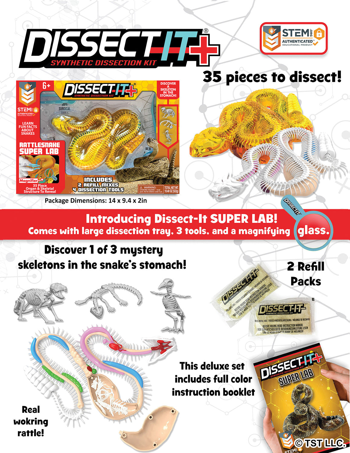 Dissect-It+ Rattlesnake Super Lab Kit – G. Willikers